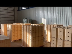 DN14 ফায়ার ক্লে ইট নিম্ন ছিদ্রযুক্ত ক্লে ইট 42%-47% Al2o3 উচ্চ তাপমাত্রা ফায়ার ইট